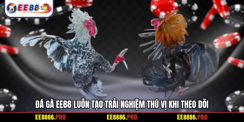 Đá gà EE88 luôn tạo trải nghiệm thú vị khi theo dõi