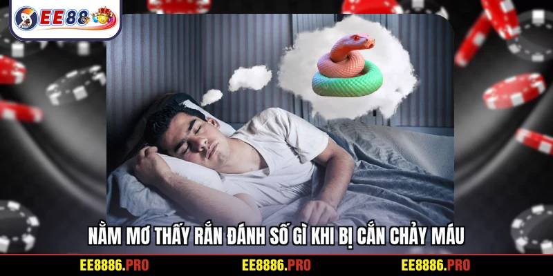 Nằm mơ thấy rắn đánh số gì khi bị cắn chảy máu