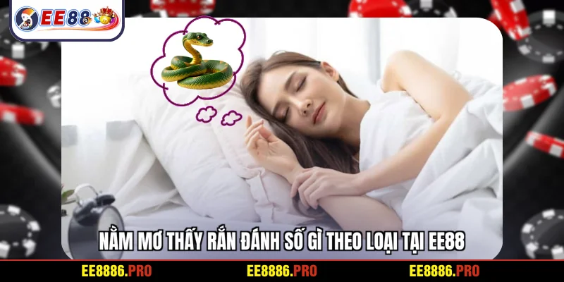 Nằm mơ thấy rắn đánh số gì theo loại tại EE88